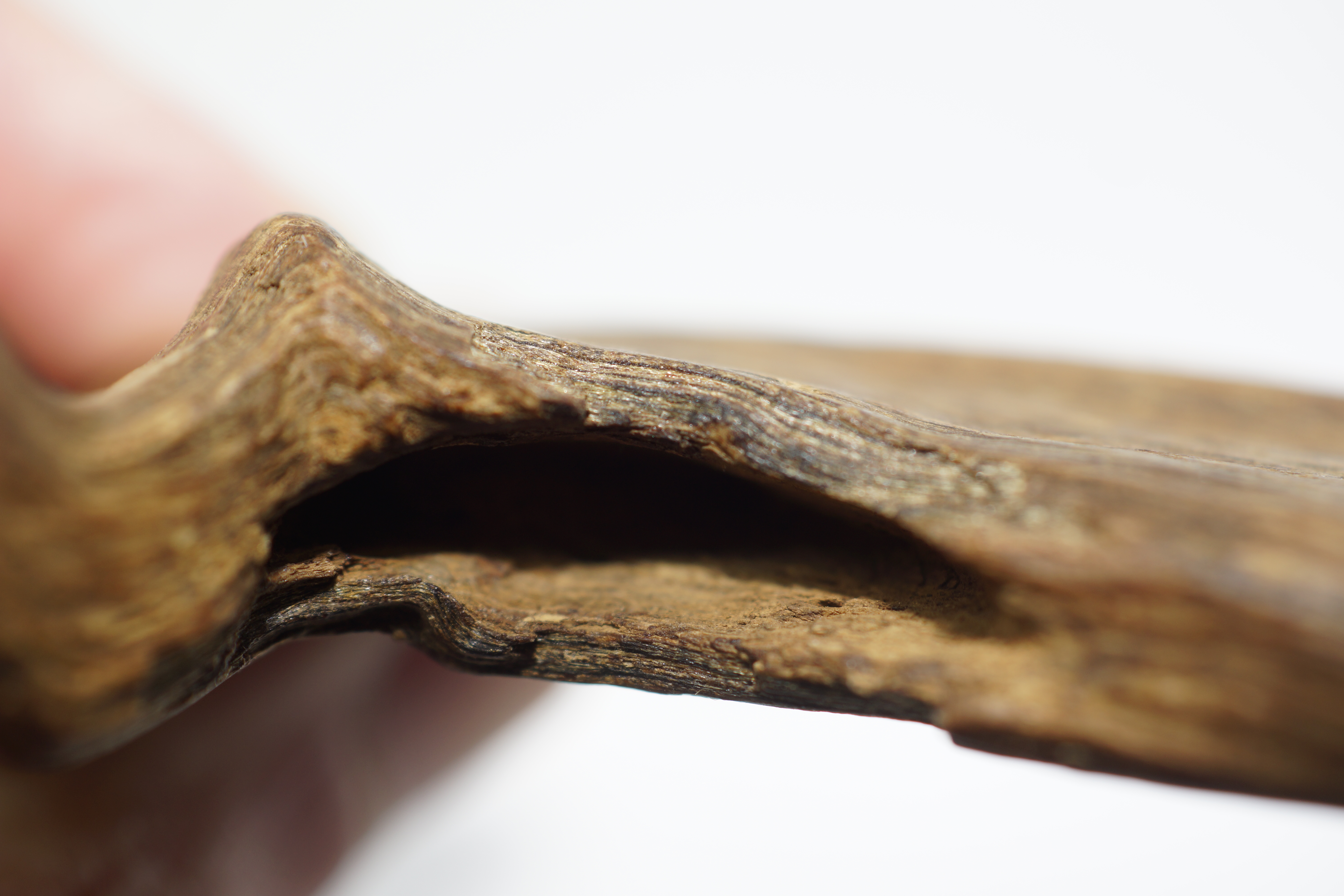 [Ouddict.com] Oud Photos