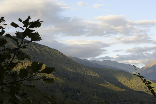 DSC7125.jpg
