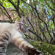 IMG-3105