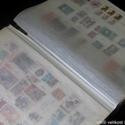 IMG-3779
