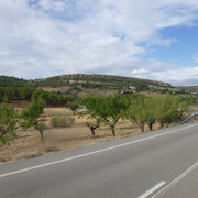 DSCF6272