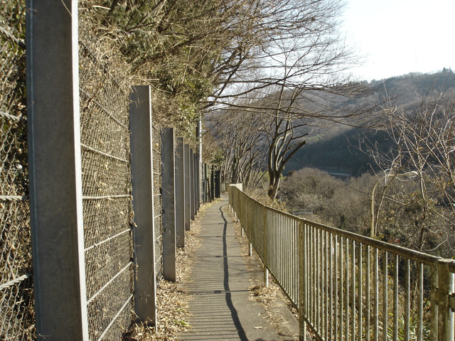 2012-01-09-103