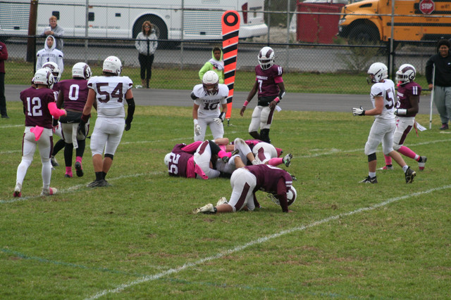 IMG-0292.jpg