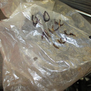 IMG-1927