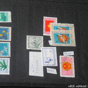 IMG-3798