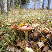 DSC00255