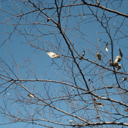 2012-01-06-213