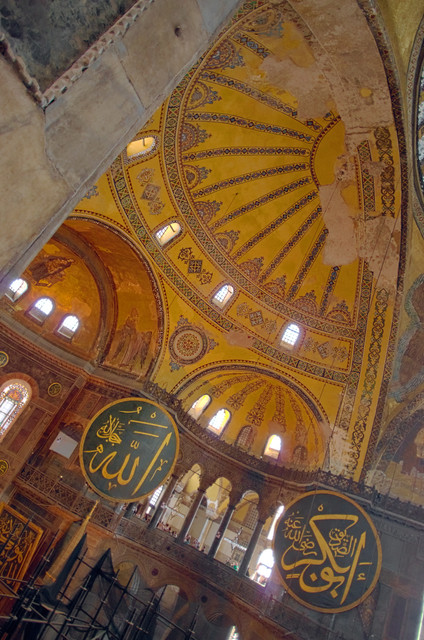 IMGP8619a