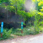 OLYMPUS-DIGITAL-CAMERA