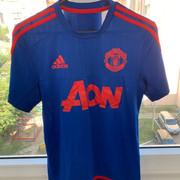 man-utd-15-train1
