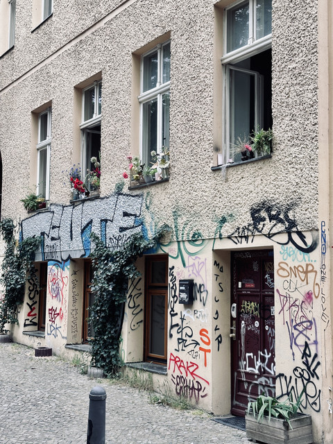 IMG-1919