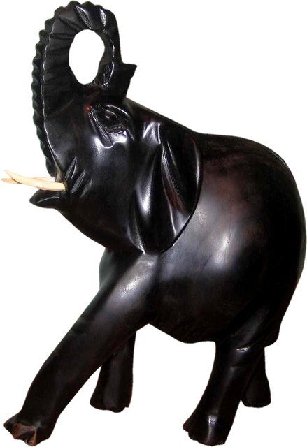eaf00054ebb5