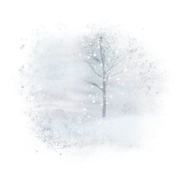 DBK-Winter-Fantasy-E69