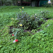 IMG-0540