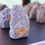 DSC-7888