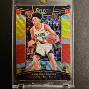 Anfernee-Simons-Tricolor-Concourse