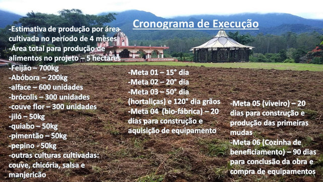 Cronograma-de-execu-o