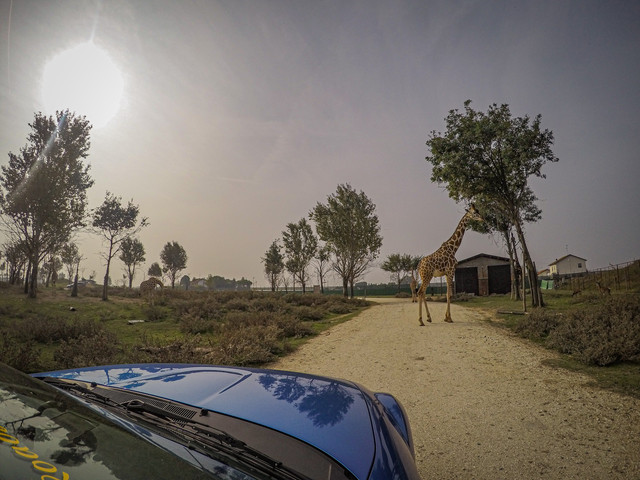 DCIM-101-GOPRO-GOPR8307