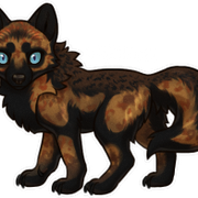 Wolvden-Adopt-Maxinus-small