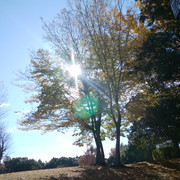 IMG-20221117-101006