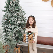 IMG-6581