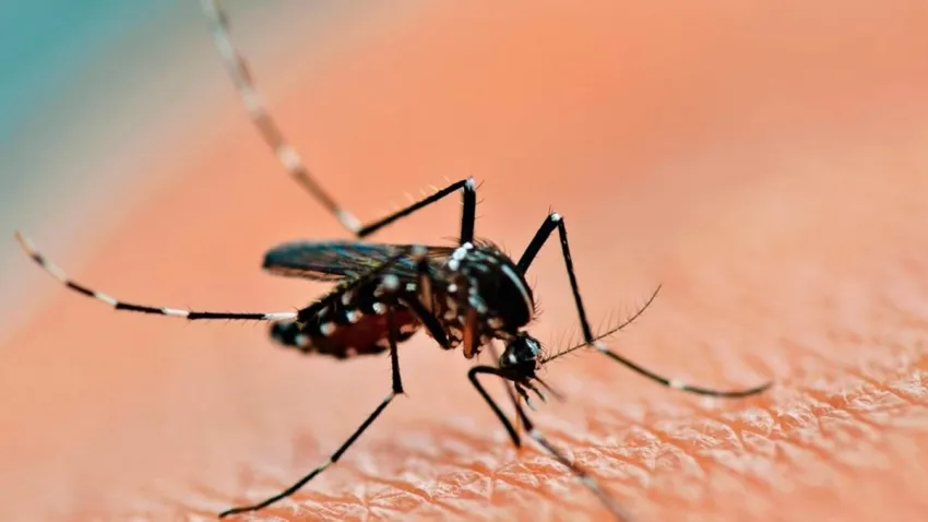 INTENDENTE CORRENTINO SE RECUPERA TRAS CONTAGIO DE DENGUE.