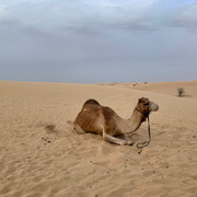 IMG-5768