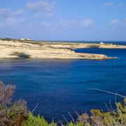 OLYMPUS-DIGITAL-CAMERA