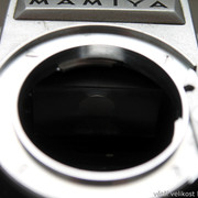 IMG-1645