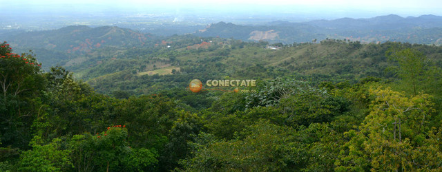 Jose-Contreras-RD