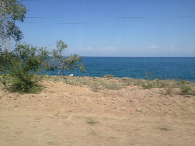 IMG 1561.jpg