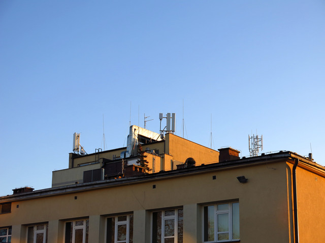 IMG-3535