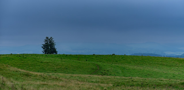 DSF6303.jpg