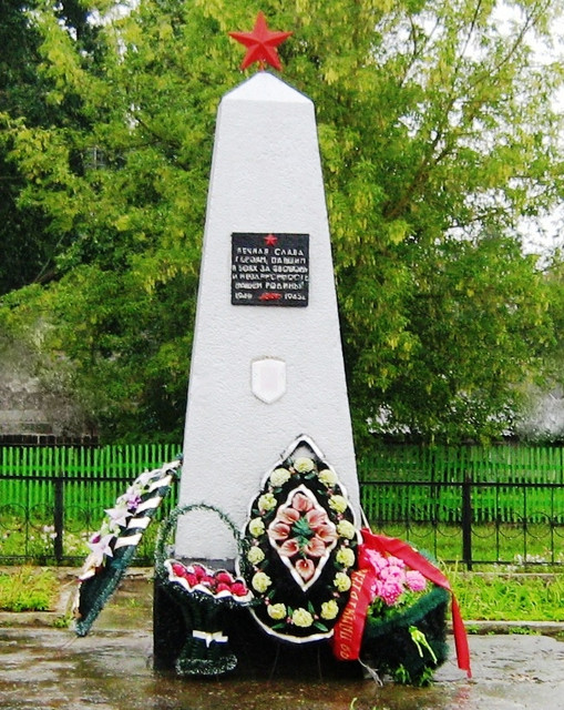 https://i.ibb.co/WJjnckf/image.jpg