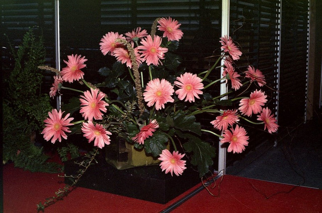 [Image: Tosca-01-007.jpg]