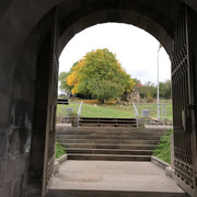 IMG-1446