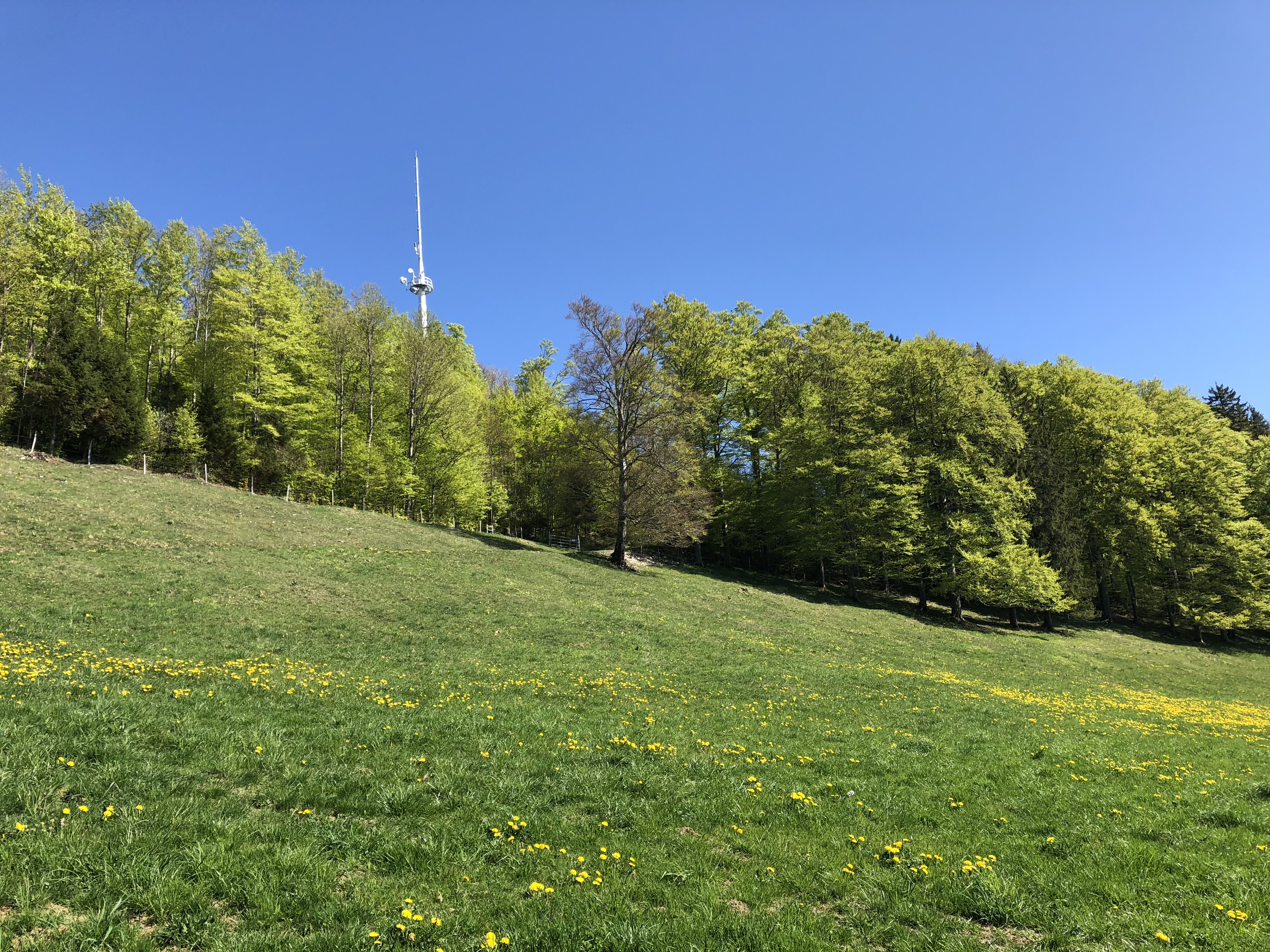 IMG-0937.jpg