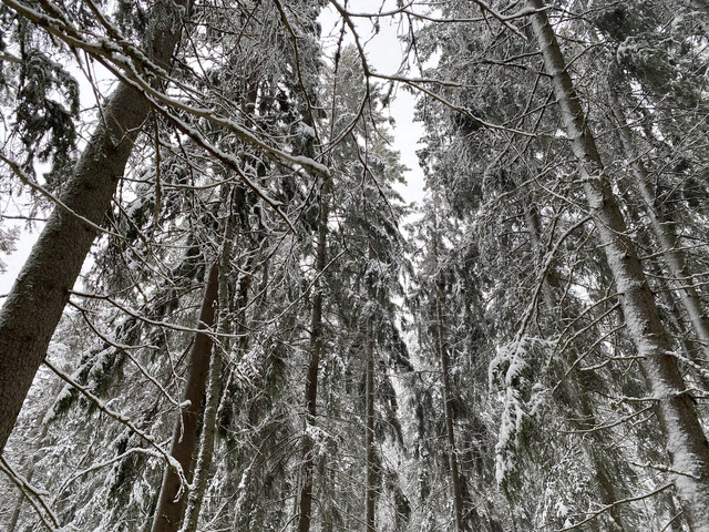 67-D928-F7-DE6-C-404-C-98-E5-0-AB1387-CC