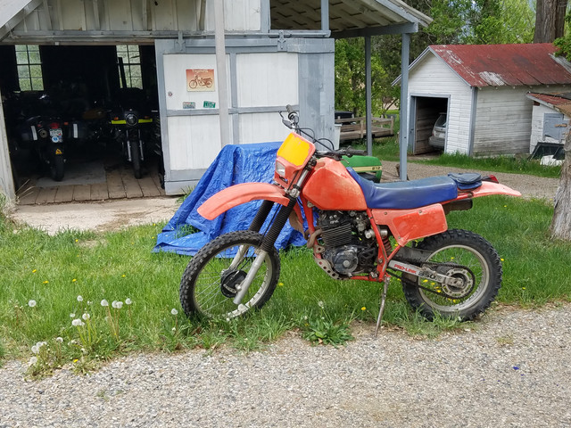 XR350R