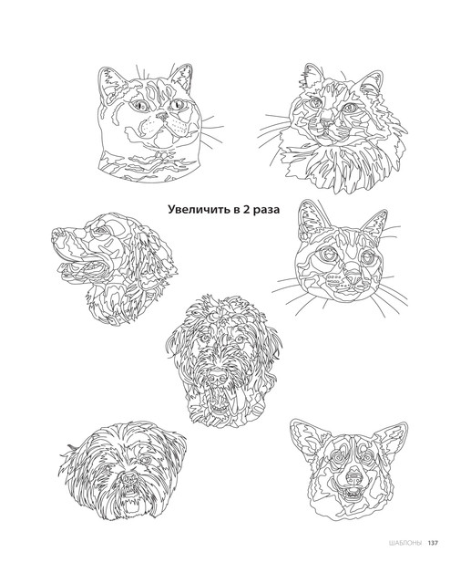2024-138