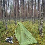 IMG 5562