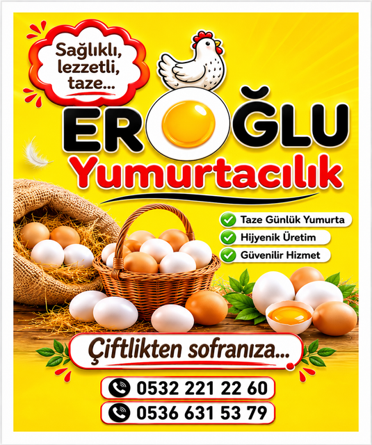 erglu yumurta.png