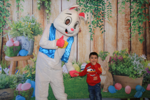 Bunny2026 2