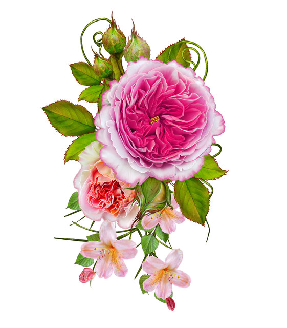 shutterstock-655142761.jpg