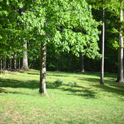 DSC 9086