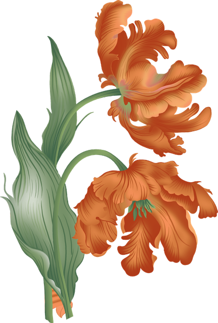 e570e79ba7846bcdb05c28ddd7fe7979.png