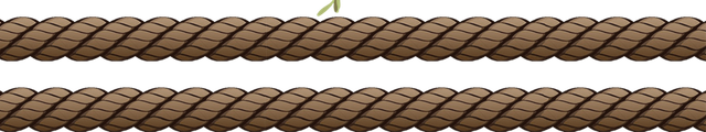 Layer-19.png