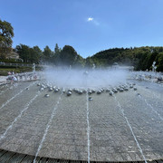 comp IMG 7207