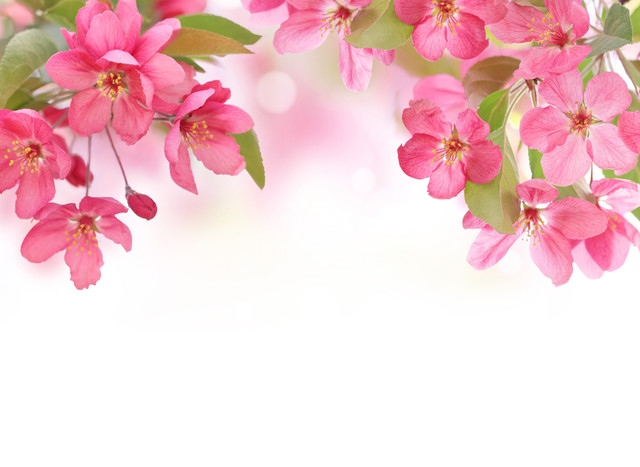 shutterstock-121979260.jpg