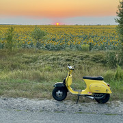 IMG 2600